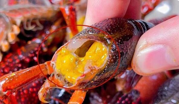 传闻小龙虾重金属超标还能吃吗？如何挑选和处理小龙虾？