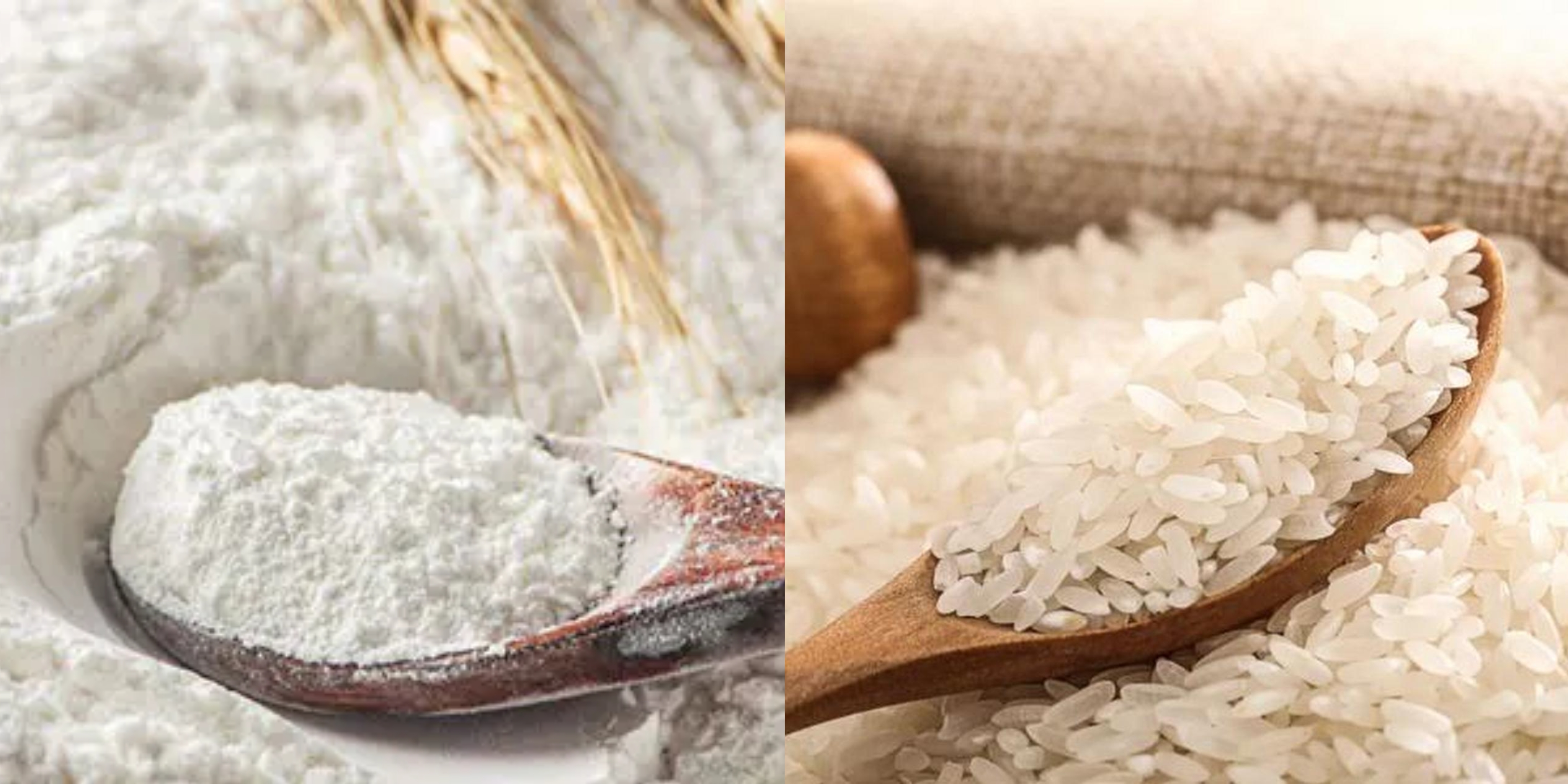 吃米和吃面哪个更容易发胖？
